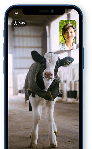 Video Call App Screen